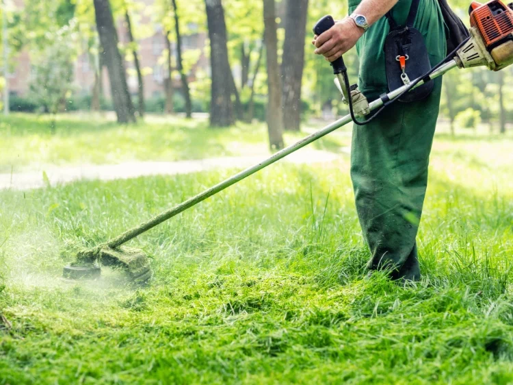 trawa koszona kosą spalinową